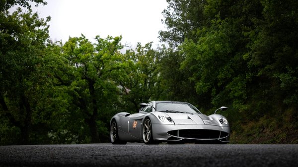 Pflanzliche eiweiße: ihr geheimnis für effektiven muskelaufbau!