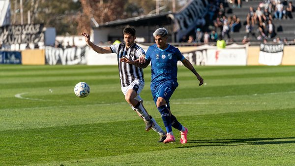 Haarballen bei langhaarkatzen verhindern: kreative tipps für ein strahlend gesundes fell!